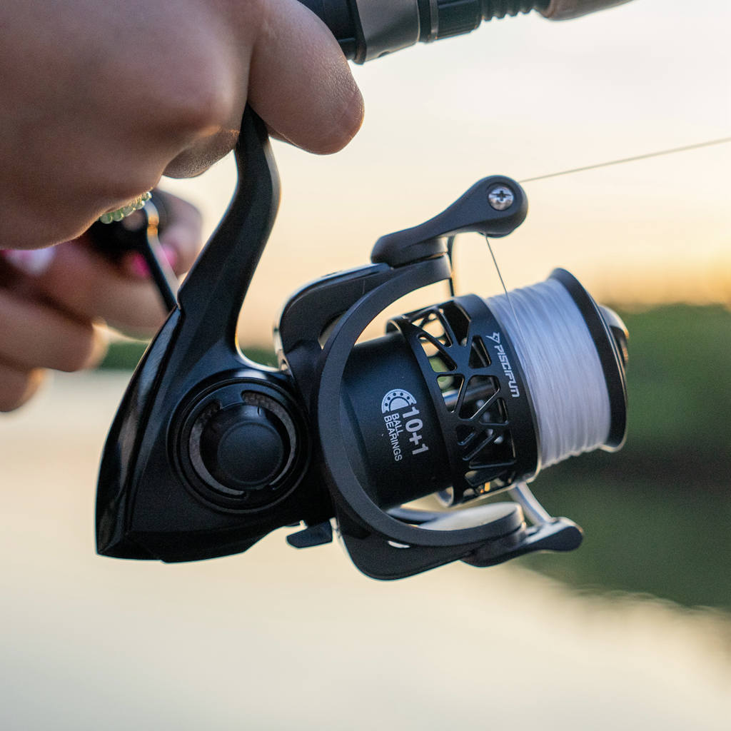 Reels Fishing Reels Fishing Reels for Sale Piscifun Reels Fishing Reels Fishing Reels for Sale Piscifun