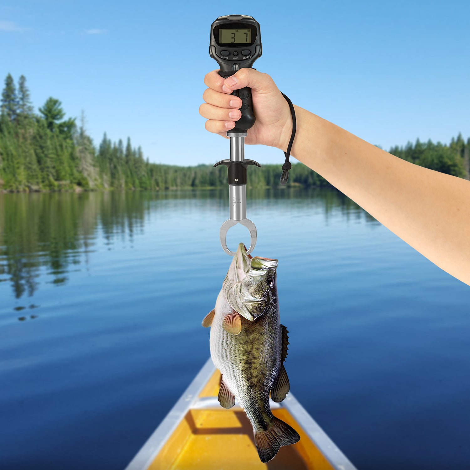 Fish Lip Gripper, Stainless Steel Jaws 150mAh Button Battery Comfortable  Grip Fish Grabber Fishing Tool with Digital Scale for Fresh Water :  : Pet Supplies